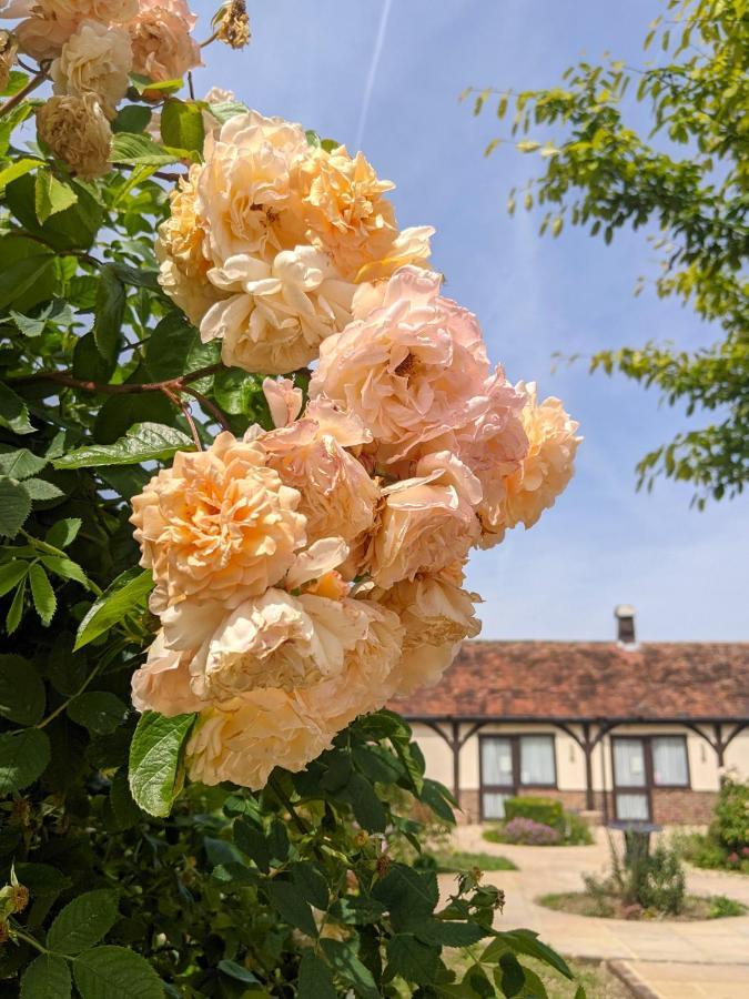 Kingfisher Barn B&B Abingdon-on-Thames ภายนอก รูปภาพ