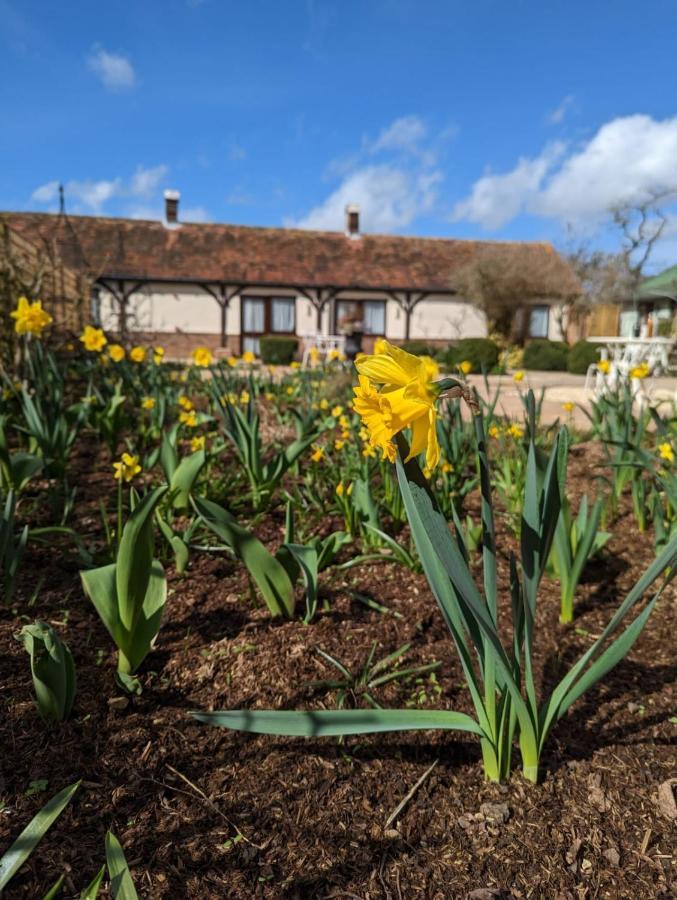 Kingfisher Barn B&B Abingdon-on-Thames ภายนอก รูปภาพ